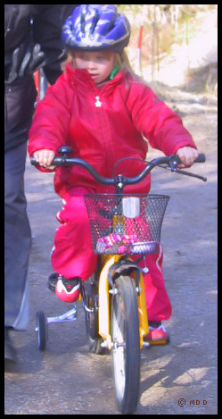 Saga cyklar p sin fina cykel hon fick efter sjukhusvistelsen i april 2004